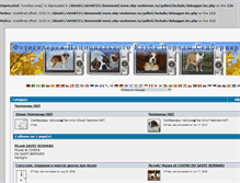 Tablet Screenshot of galleri.nkp-senbernar.ru